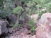 Tonto Natural Bridge 042